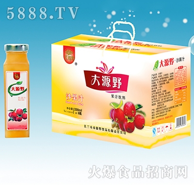 大源野果汁飲料沙果汁禮盒300ml×6瓶