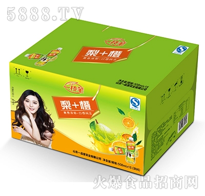 һ֦�P��+��508mlx15ƿ