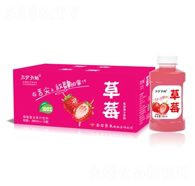 ������ز�ݮ��(f��)�Ϲ�֭���380mlX15