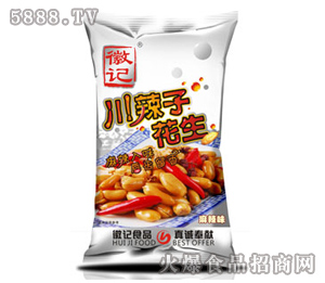 ��ӛ�����ӻ���