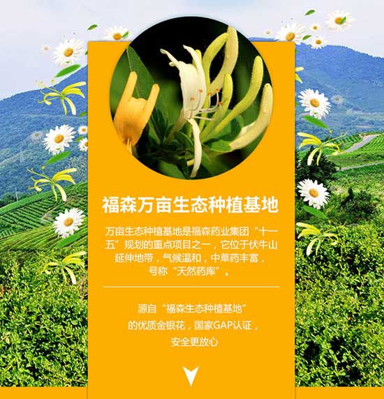 福森源金銀花植物飲品 福森源金銀花植物飲品