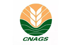 �Ї��Zʳ�ИI(y��)�f(xi��)��