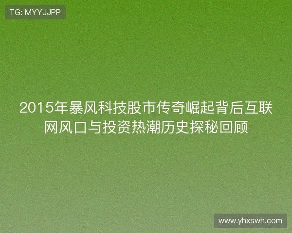 2015年暴风科技股市传奇崛起背后互联网风口与投资热潮历史探秘回顾